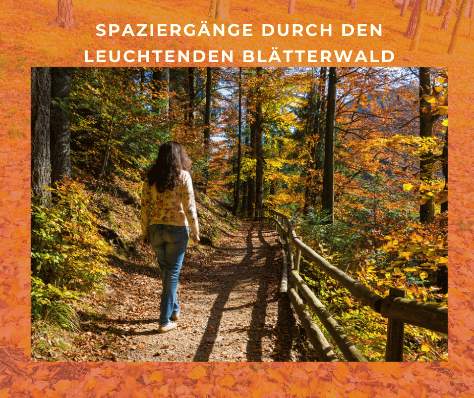Spaziergänge